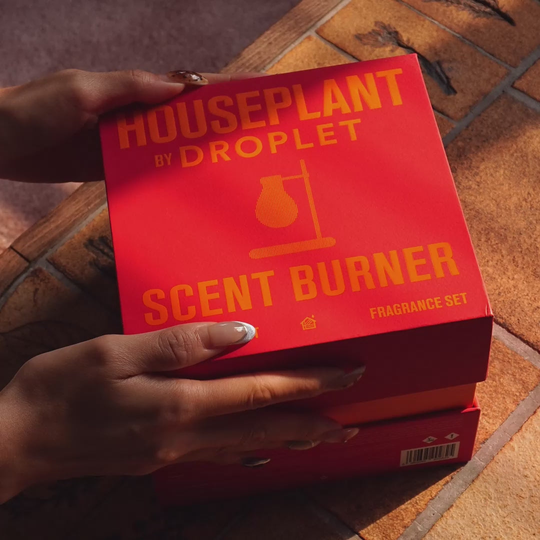 Load video: Houseplant Scent Burner Set